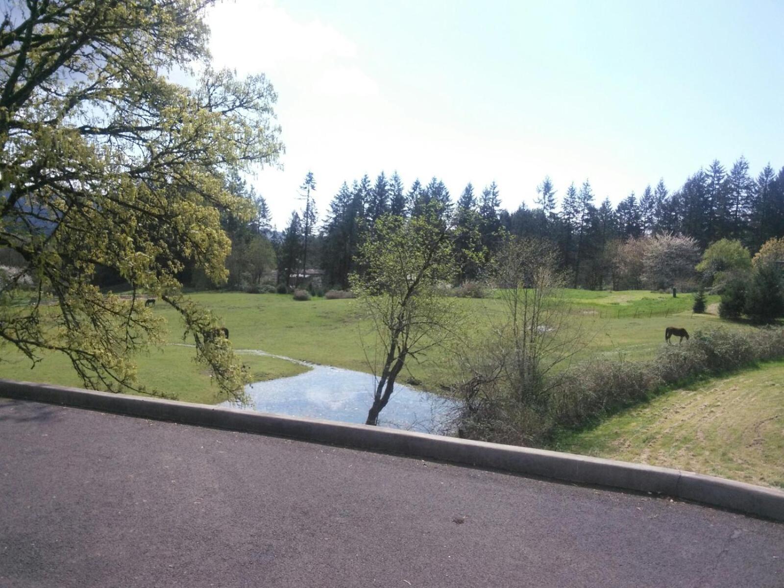 Vancouver Wa Beautiful Apartment Woodland Exterior photo
