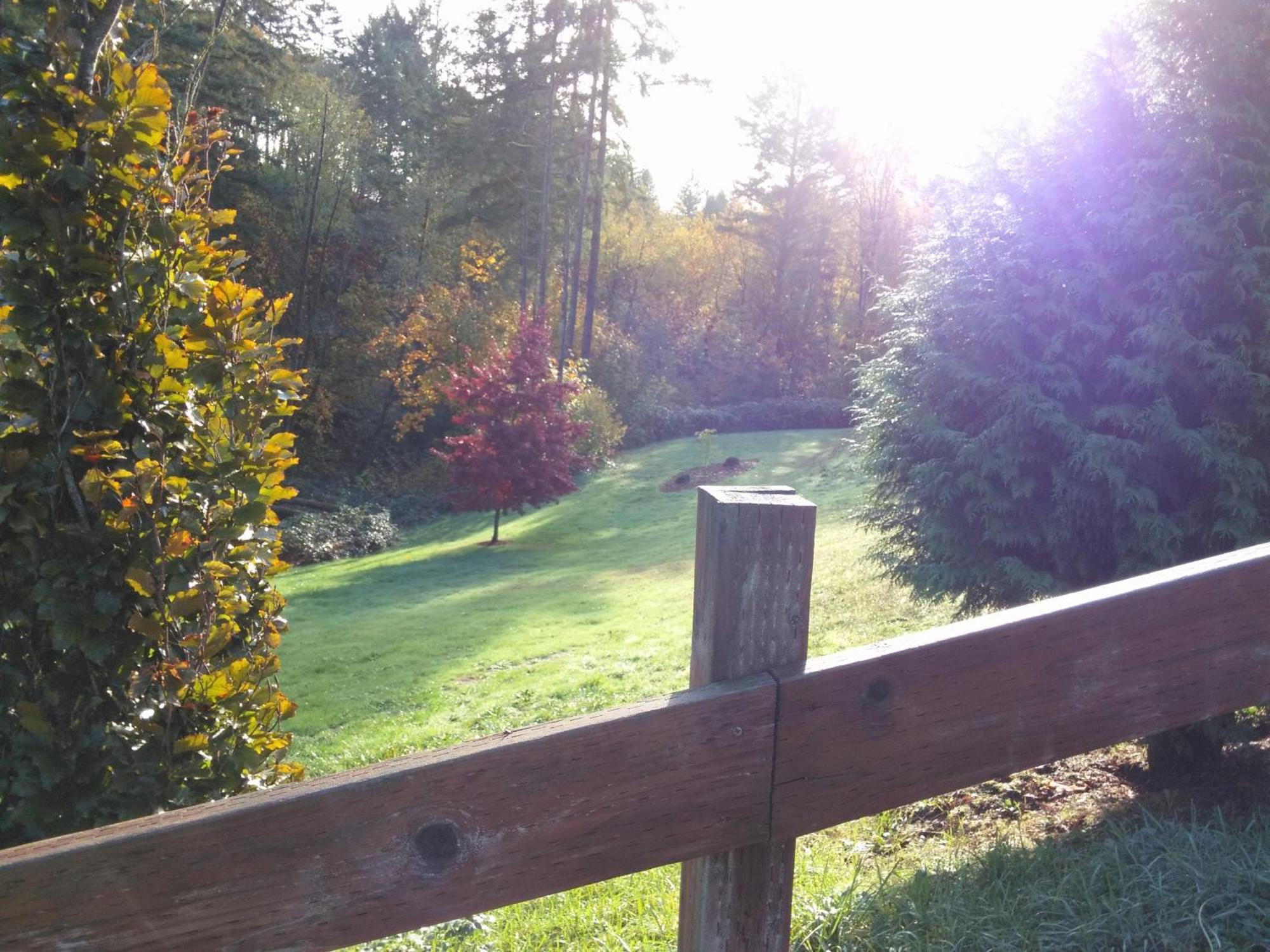 Vancouver Wa Beautiful Apartment Woodland Exterior photo